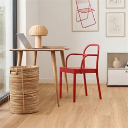 Timberman Novego Classic - Olympia Oak