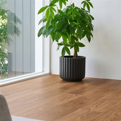 Wallmann Nordheim Plank - 9586 Røget Eg