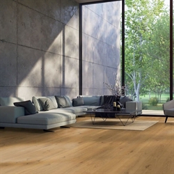 HARO Plank Plaza 240 - Eg Markant, Børstet Matlak (KAMPAGNE)