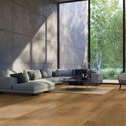 HARO Plank Plaza 240 - Eg Sauvage, Børstet Matlak (KAMPAGNE)